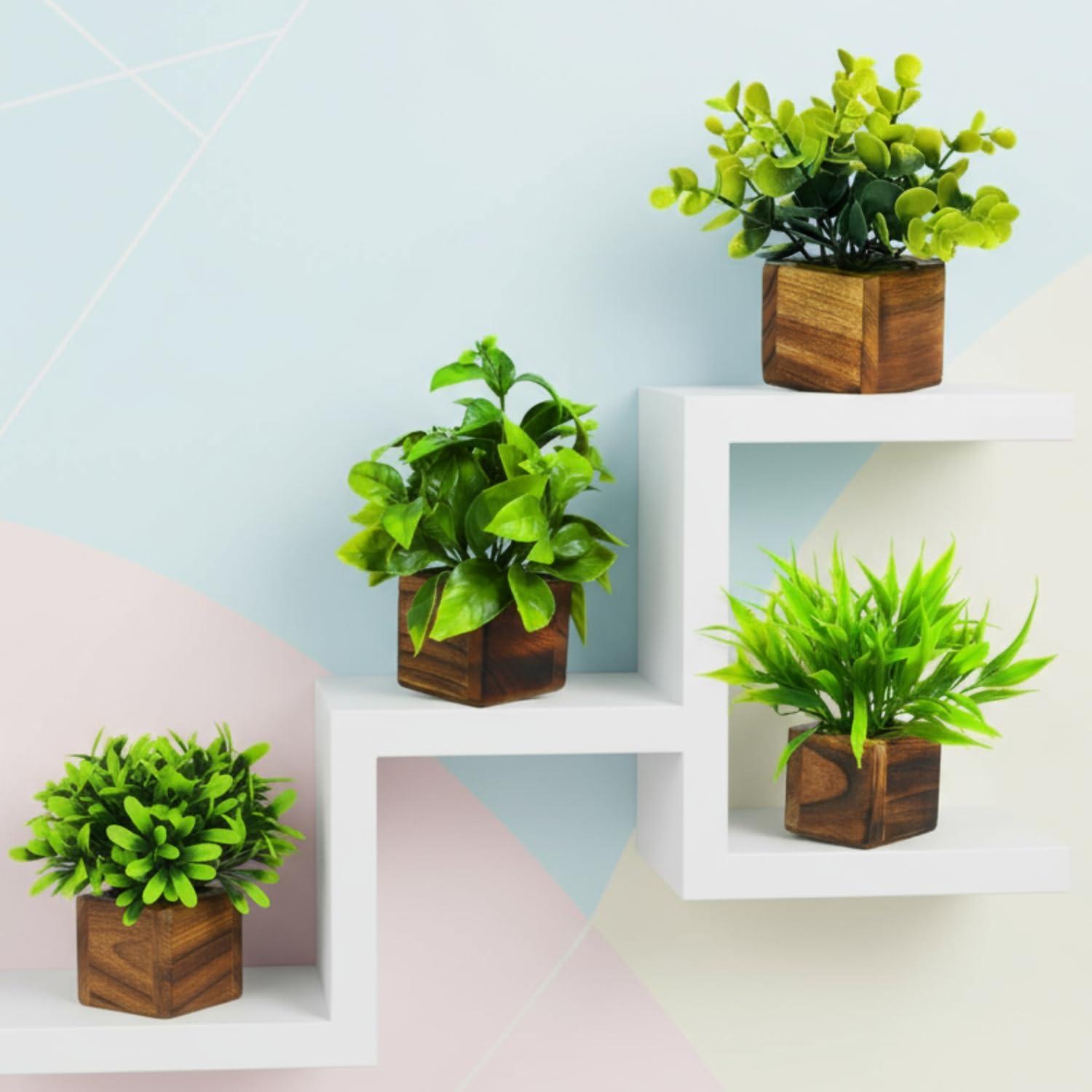 Potted Plants (4 pcs)