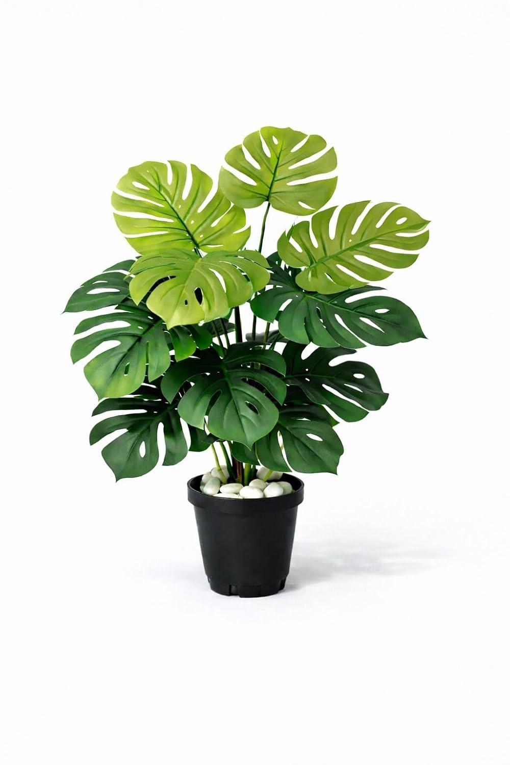 HOMOREE Artificial Plant (26 Inch)